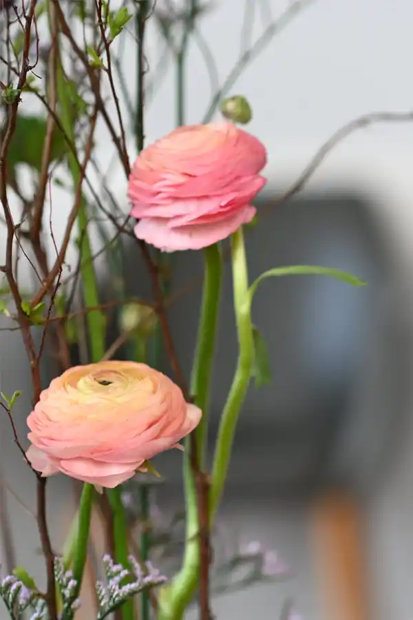 Hausarztpraxis Dr. Philipps Berlin-Moabit